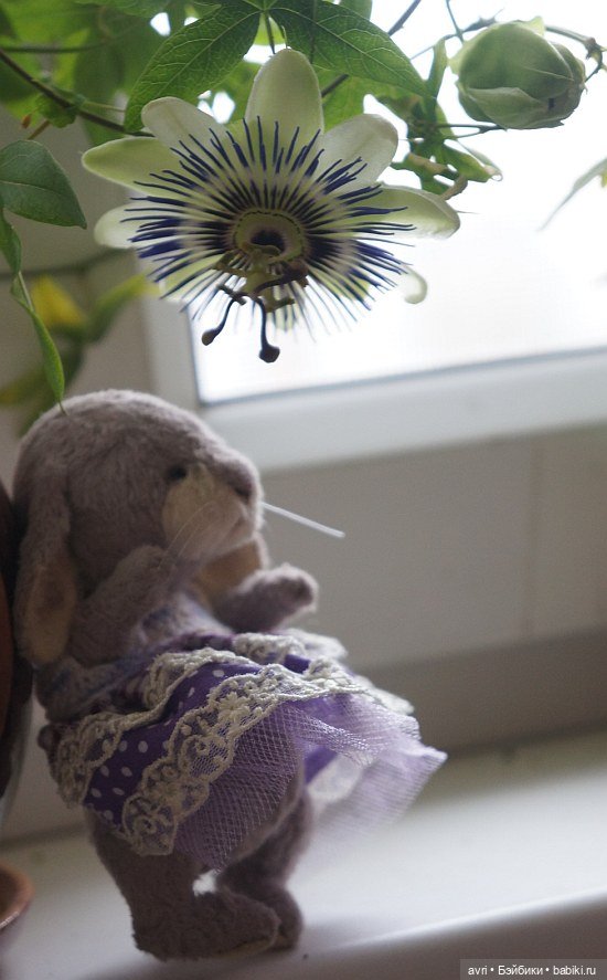 Новые приключения зайцев. Часть 11 (фото 9)