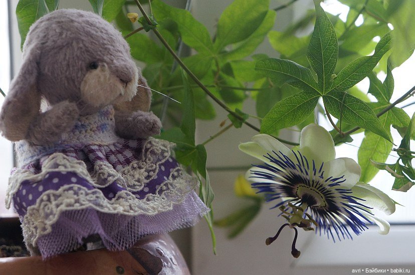 Новые приключения зайцев. Часть 11 (фото 10)