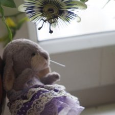 Новые приключения зайцев. Часть 11.