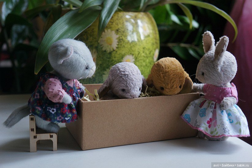 Жизнь продолжается или... снова про зайцев. Часть 1