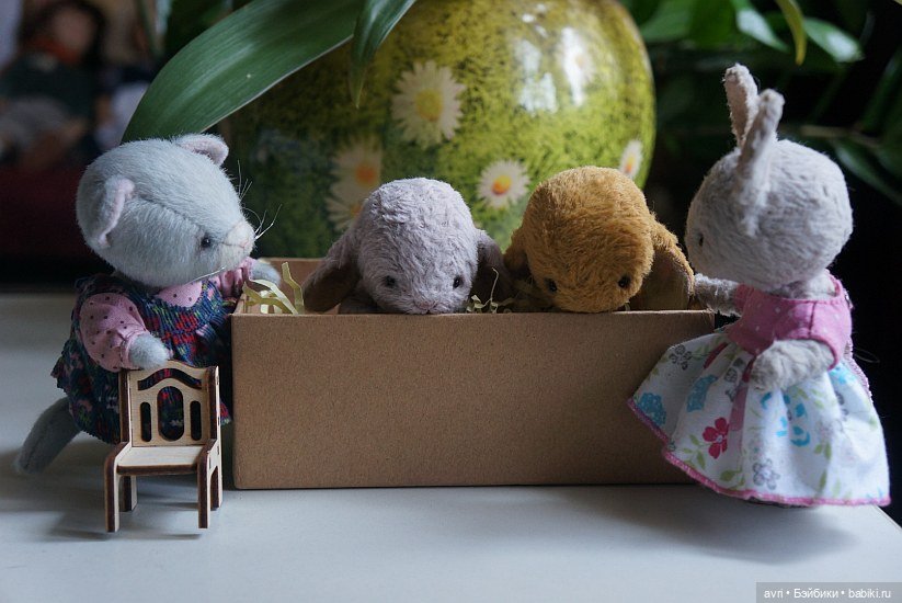 Жизнь продолжается или... снова про зайцев. Часть 1