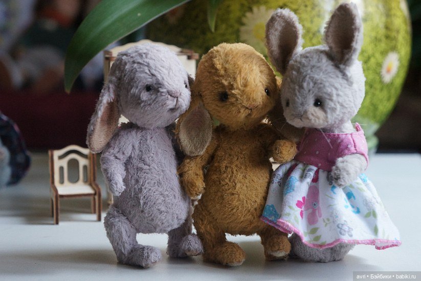 Жизнь продолжается или... снова про зайцев. Часть 2 (фото 6)