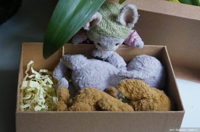 Жизнь продолжается или... снова про зайцев. Часть 1 (фото 7)