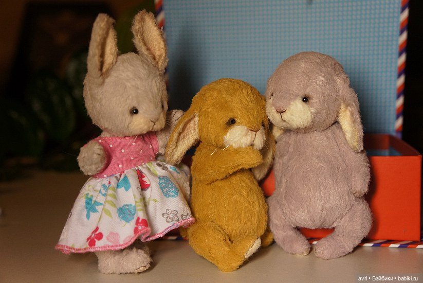 Жизнь продолжается или... снова про зайцев. Часть 1 (фото 3)