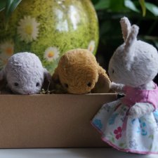 Жизнь продолжается или... снова про зайцев. Часть 1