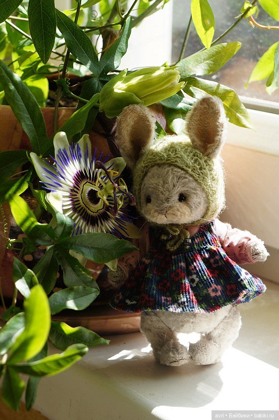 Жизнь продолжается или... снова про зайцев. Часть 2