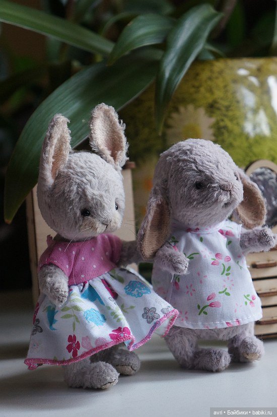 Жизнь продолжается или... снова про зайцев. Часть 4