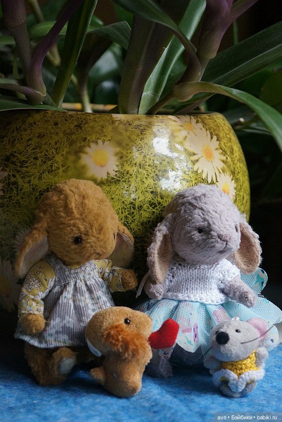 Жизнь продолжается или... снова про зайцев. Часть 5 (фото 8)