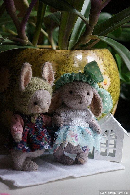 Жизнь продолжается или... снова про зайцев. Часть 6