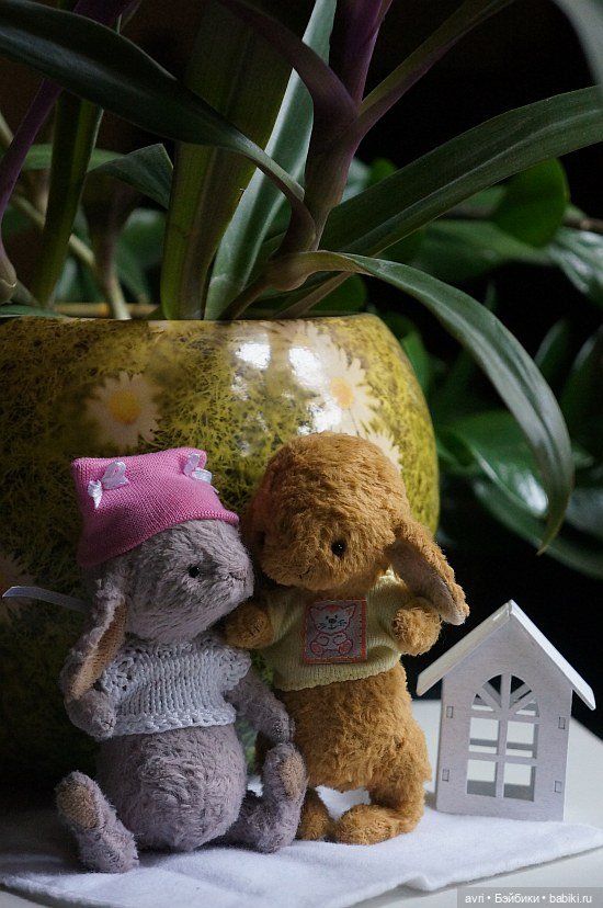 Жизнь продолжается или... снова про зайцев. Часть 6 (фото 3)