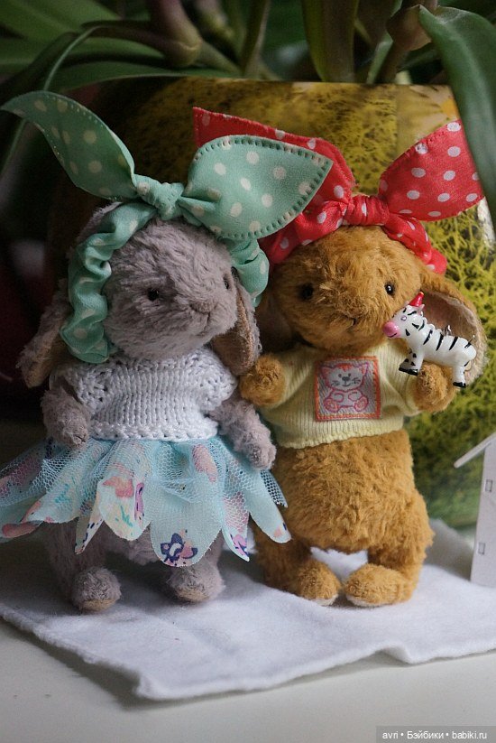 Жизнь продолжается или... снова про зайцев. Часть 6