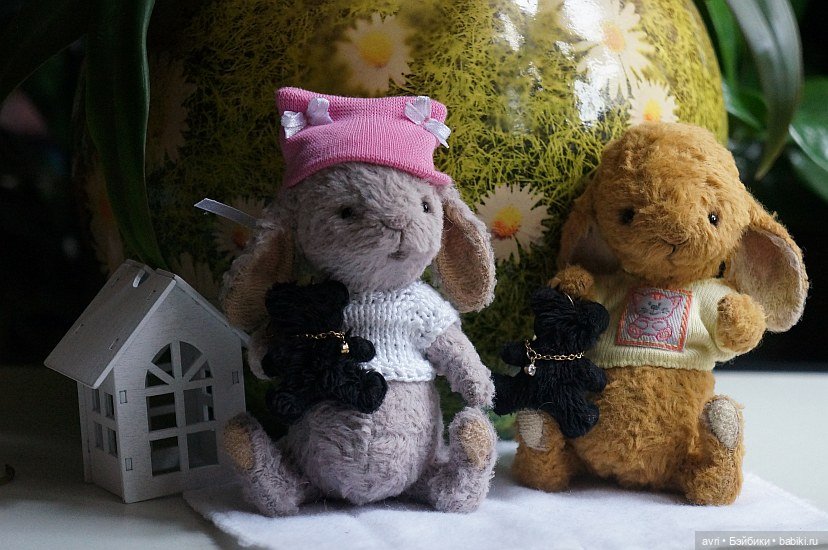 Жизнь продолжается или... снова про зайцев. Часть 7 (фото 6)