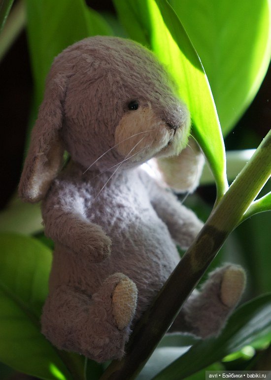 Жизнь продолжается или... снова про зайцев. Часть 7 (фото 8)