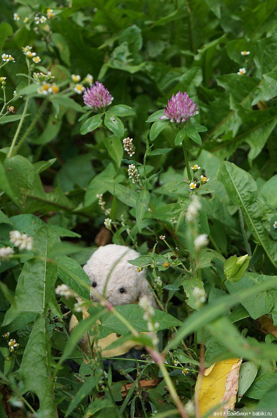 Не бывает много зайцев! Авторская игрушка. Часть 16 | Бэйбики Не бывает много зайцев! Авторская игрушка. Часть 16 (фото 3)