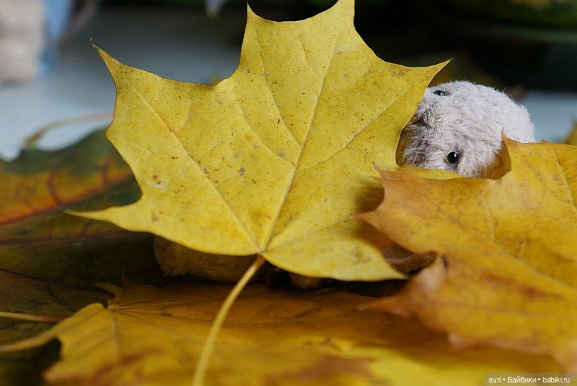 История маленькой Стеши. Часть 3. Стешина беда. / Авторская игрушка (фото 5)