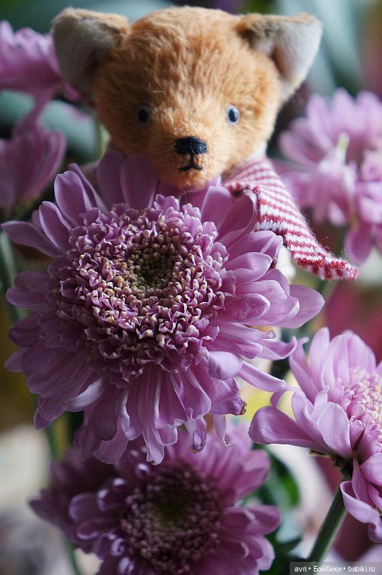 Эх, Лис, родиться бы тебе зайцем или Сказка про глупого лисенка. Часть 2 / Авторская игрушка | Бэйбики Эх, Лис, родиться бы тебе зайцем или Сказка про глупого лисенка. Часть 2 / Авторская игрушка (фото 4)