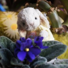 Вики, ты маленькое солнце / Авторская игрушка