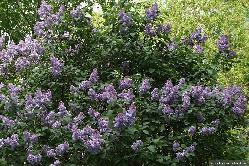 Благие намерения Вики/ Авторская игрушка (фото 9)