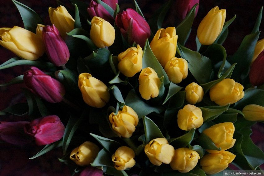 Нет, ты не летчик, Вики! Авторская игрушка