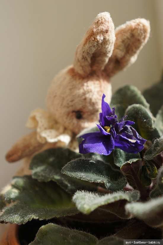 Любви все возрасты покорны / Авторская игрушка (фото 5)