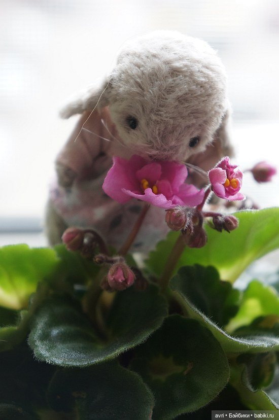 Не разлей вода / Авторская игрушка