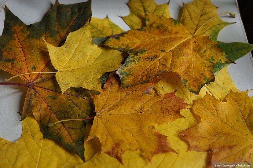 Где живут дюймовочки / Robert Tonner Effanbee "Wee Patsy Basic Blonde" 2007. Часть 3 (фото 6)