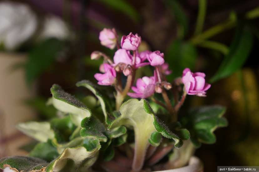 Незваный гость - 2 / Авторская игрушка