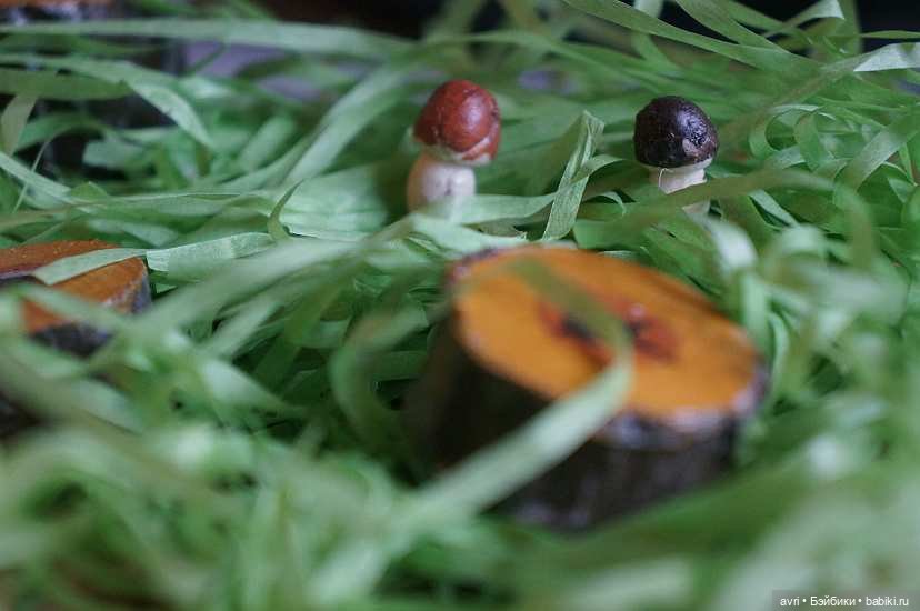 В жизни Дюймовочки наступают тяжелые времена (фото 7)