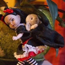 В плену / Авторская игрушка