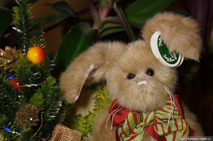 Бина и Кристофер — Игровые куклы Zwergnase (Цвергназе) Junior: Джуниор