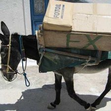 Вокруг света на ишаке или Почта плюс таможня. Часть 1.