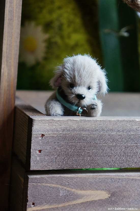 Неожиданная встреча / Авторская игрушка (фото 3)