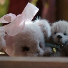 Томми и Ангел / Авторская игрушка