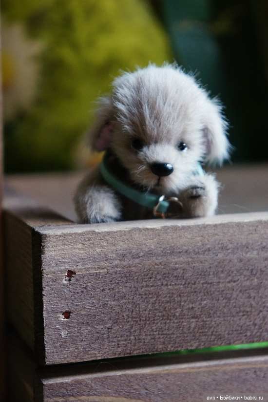 Приятелями были котенок и щенок. Часть 1. / Авторская игрушка