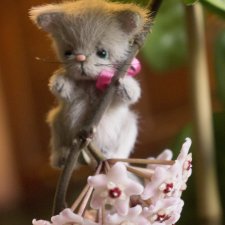 Приятелями были котенок и щенок. Часть 1. / Авторская игрушка