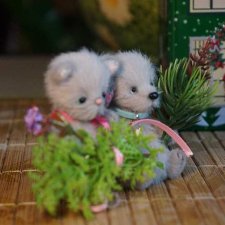 Приятелями были котенок и щенок. Часть 3. / Авторская игрушка