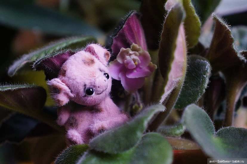 Чудесный мир миниатюрных зверят. Часть 3. Жираф, поросенок и мишка / Авторская игрушка (фото 4)