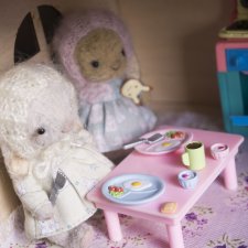 Приключения Полли и Рози. Часть 9 / Авторская игрушка