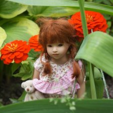 Гулять или не гулять... или прогулка с Авой Розой. Часть 1.