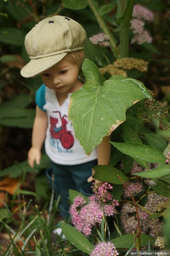 Ах, мой милый Бенджамин, Бенджамин!... Или Бенджамин и оранжевый уровень озорства (фото 9)