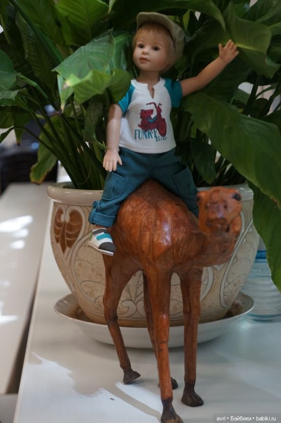 Ах, мой милый Бенджамин, Бенджамин!... Или Бенджамин и оранжевый уровень озорства (фото 3)