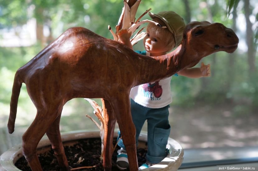 Ах, мой милый Бенджамин, Бенджамин!... Или Бенджамин и оранжевый уровень озорства (фото 4)