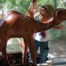 Ах, мой милый Бенджамин, Бенджамин!... Или Бенджамин и оранжевый уровень озорства.