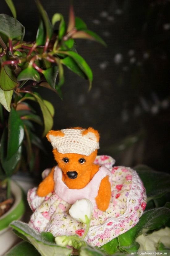 Лисьи истории. Часть 1. Хочу прокатиться по радуге