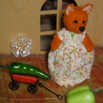 Лисьи истории. Часть 1. Хочу  прокатиться по радуге