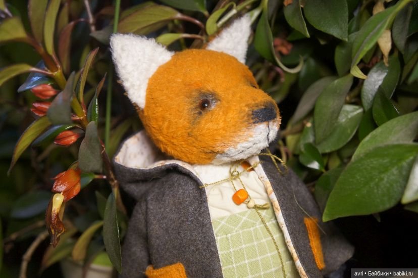 Превратности лисьих судеб (фото 3)