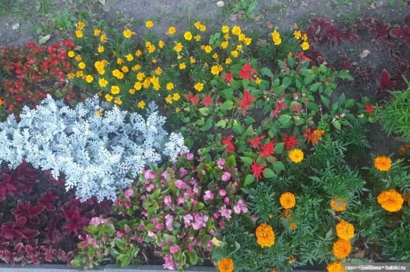 Цвет радости, или Оранжевое небо, оранжевое солнце. Часть 1