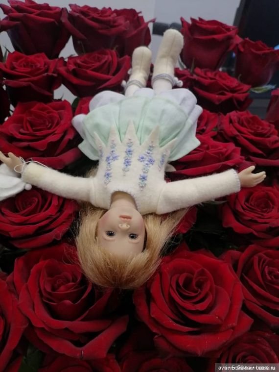 Сестрички. Часть 2. Роза — Куклы Heidi Plusczok (Хайди/Хейди Плюсчок) — фото (фото 8)