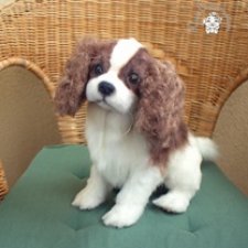 Щенок кавалер -кинг- чарльз спаниеля