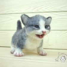 котенок малыш
